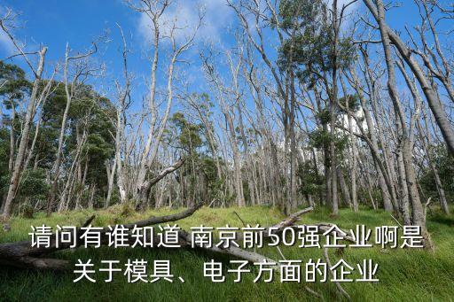 請問有誰知道 南京前50強企業(yè)啊是關(guān)于模具、電子方面的企業(yè)
