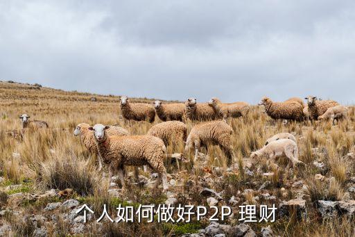 如何投資理財p2p,100萬左右如何投資理財