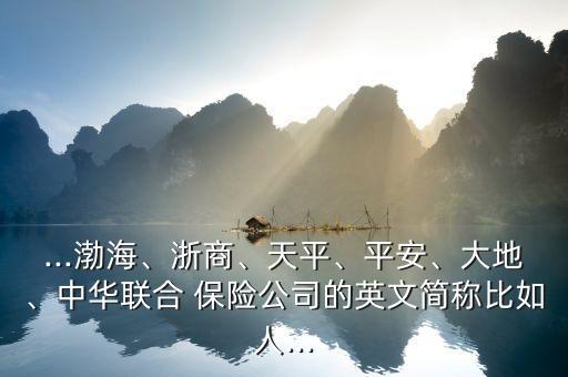...渤海、浙商、天平、平安、大地、中華聯(lián)合 保險公司的英文簡稱比如人...