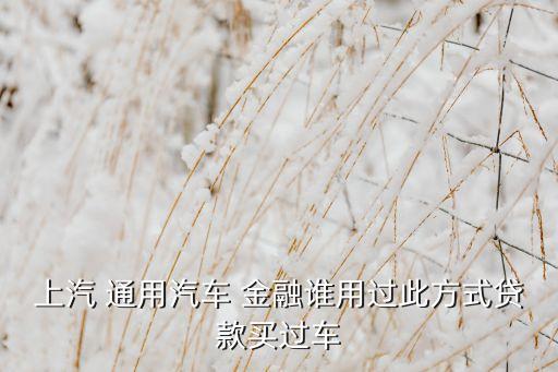上汽 通用汽車(chē) 金融誰(shuí)用過(guò)此方式貸款買(mǎi)過(guò)車(chē)