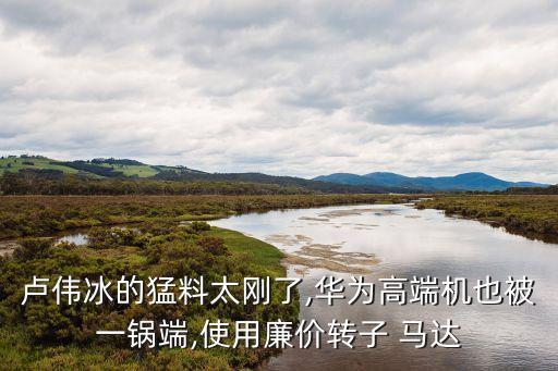 盧偉冰的猛料太剛了,華為高端機也被一鍋端,使用廉價轉(zhuǎn)子 馬達