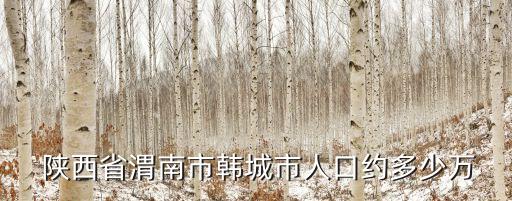  陜西省渭南市韓城市人口約多少萬(wàn)