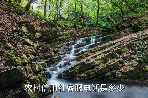  農(nóng)村信用社客服電話(huà)是多少