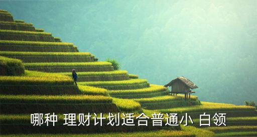 哪種 理財計劃適合普通小 白領