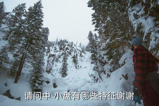 請(qǐng)問(wèn)中 小盤(pán)有哪些特征謝謝