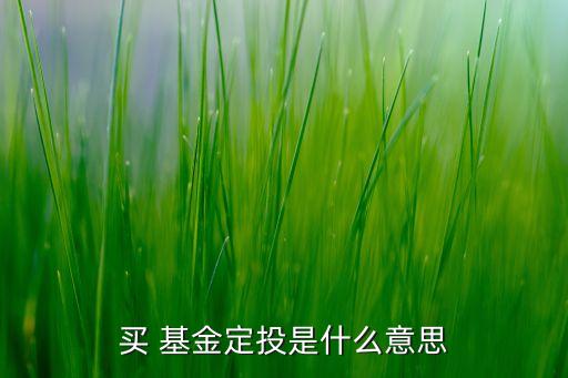 買(mǎi) 基金定投是什么意思