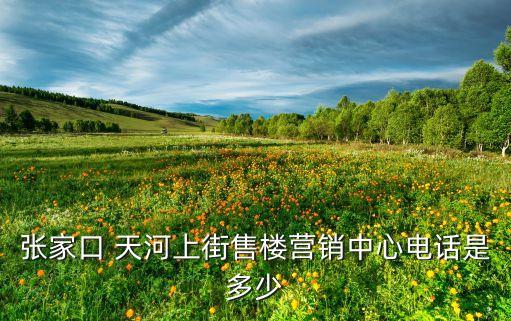 陜西天河文化有限責任公司,陜西火鳳島文化傳媒有限責任公司