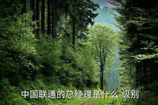  中國聯通的總經理是什么 級別