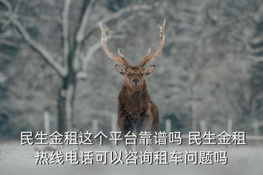  民生金租這個(gè)平臺(tái)靠譜嗎 民生金租熱線電話可以咨詢(xún)租車(chē)問(wèn)題嗎