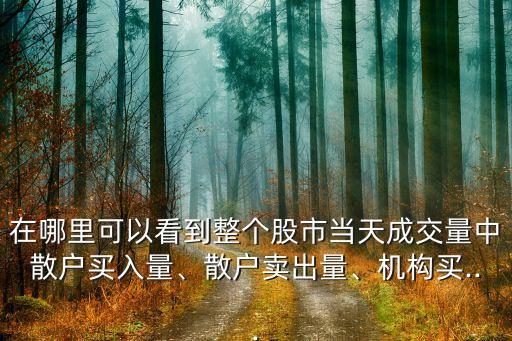 在哪里可以看到整個股市當天成交量中散戶買入量、散戶賣出量、機構買...