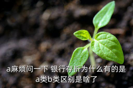a麻煩問(wèn)一下 銀行存折為什么有的是a類b類區(qū)別是啥了