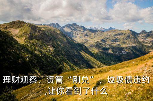 理財(cái)觀察、資管“剛兌”、垃圾債違約,讓你看到了什么