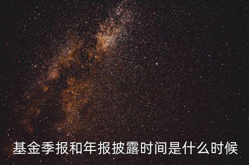 基金管理公司報表,存款保險基金管理公司