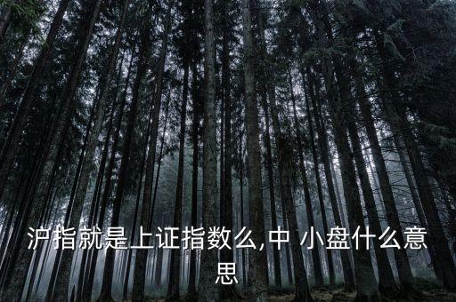 滬指就是上證指數(shù)么,中 小盤(pán)什么意思