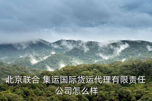 北京聯(lián)合 集運國際貨運代理有限責(zé)任 公司怎么樣