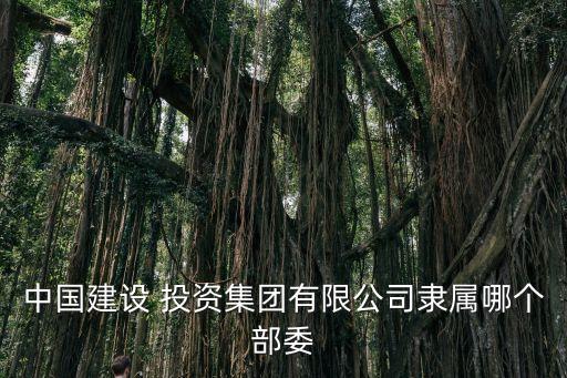 中國(guó)建設(shè) 投資集團(tuán)有限公司隸屬哪個(gè)部委