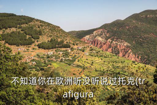 不知道你在歐洲聽沒(méi)聽說(shuō)過(guò)托克(trafigura