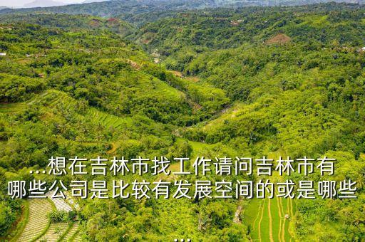...想在吉林市找工作請(qǐng)問吉林市有哪些公司是比較有發(fā)展空間的或是哪些...