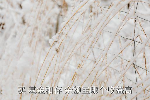 貨幣基金跟余額寶哪個好,余額寶里面的貨幣基金哪個更安全