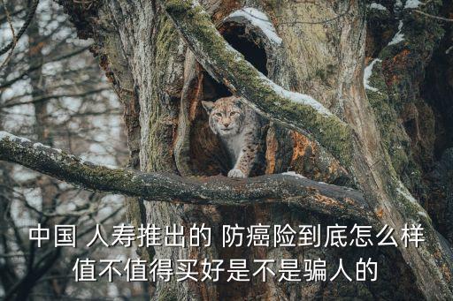 中國(guó) 人壽推出的 防癌險(xiǎn)到底怎么樣值不值得買(mǎi)好是不是騙人的