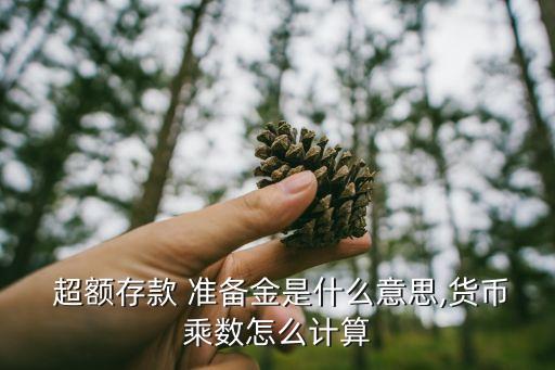  超額存款 準(zhǔn)備金是什么意思,貨幣乘數(shù)怎么計算