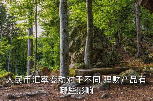 人民幣匯率變動(dòng)對于不同 理財(cái)產(chǎn)品有哪些影響