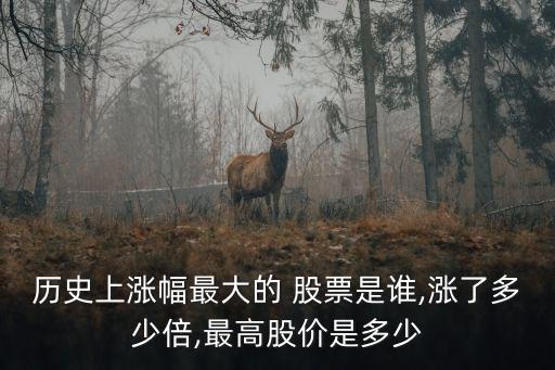 歷史上漲幅最大的 股票是誰,漲了多少倍,最高股價(jià)是多少