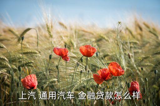上汽 通用汽車(chē) 金融貸款怎么樣
