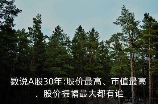 數(shù)說A股30年:股價最高、市值最高、股價振幅最大都有誰