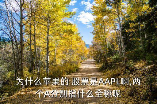 為什么蘋(píng)果的 股票是AAPL啊,兩個(gè)A分別指什么全稱(chēng)呢