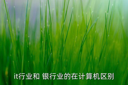 it行業(yè)和 銀行業(yè)的在計(jì)算機(jī)區(qū)別