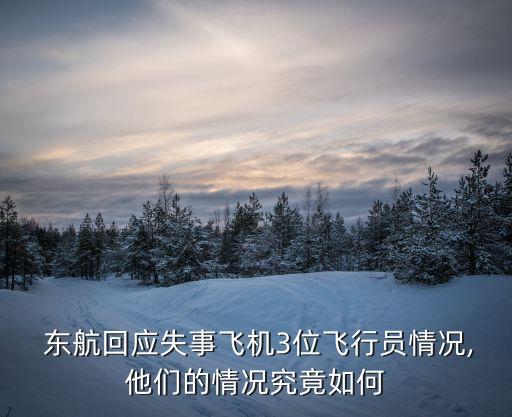  東航回應失事飛機3位飛行員情況,他們的情況究竟如何