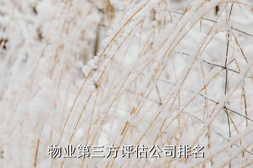物業(yè)第三方評(píng)估公司排名