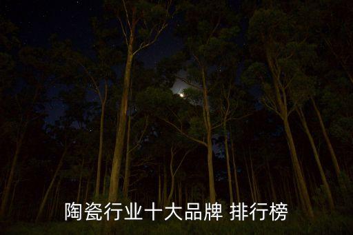 中國最有價值品牌排行榜,2023中國價值品牌
