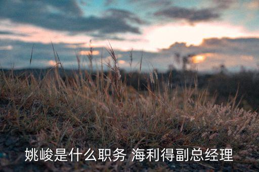 姚峻是什么職務 海利得副總經(jīng)理