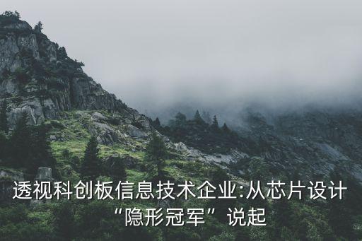 透視科創(chuàng)板信息技術企業(yè):從芯片設計“隱形冠軍”說起