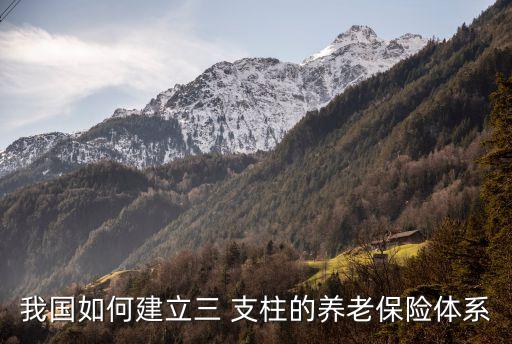 我國如何建立三 支柱的養(yǎng)老保險(xiǎn)體系
