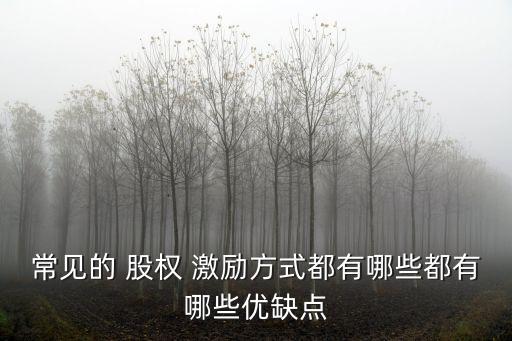 常見的 股權 激勵方式都有哪些都有哪些優(yōu)缺點