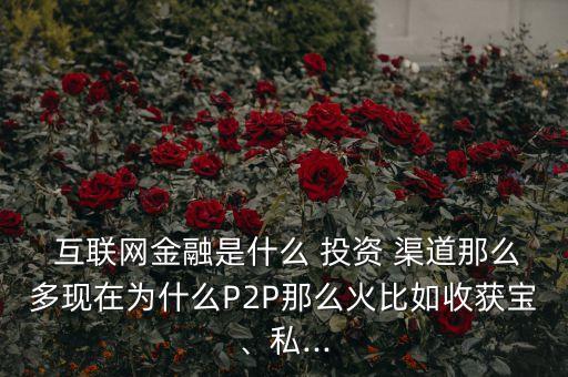  互聯(lián)網(wǎng)金融是什么 投資 渠道那么多現(xiàn)在為什么P2P那么火比如收獲寶、私...