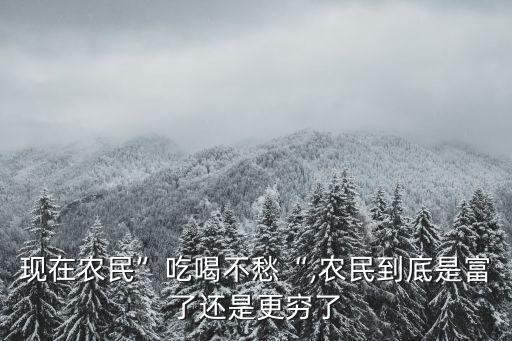 現(xiàn)在農民”吃喝不愁“,農民到底是富了還是更窮了