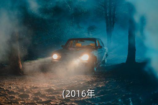 合格的境內(nèi)機構(gòu)投資者,合格境內(nèi)機構(gòu)投資者(QDII)