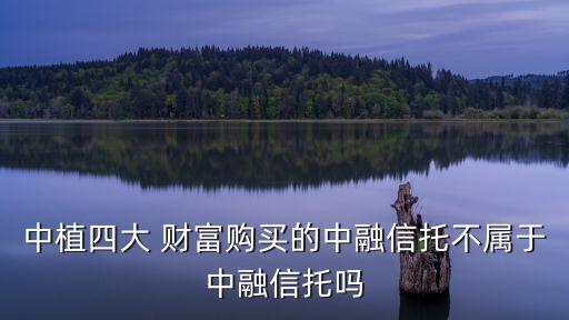 中植四大 財(cái)富購(gòu)買(mǎi)的中融信托不屬于中融信托嗎