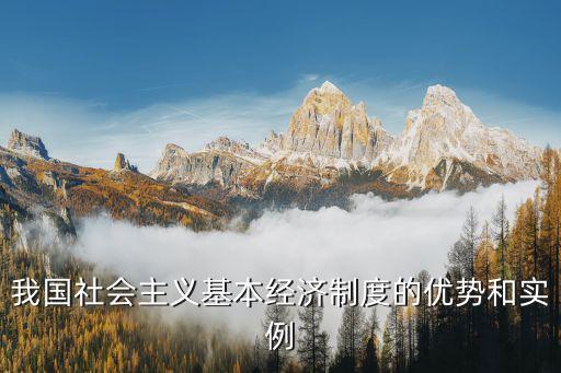 我國社會主義基本經(jīng)濟制度的優(yōu)勢和實例