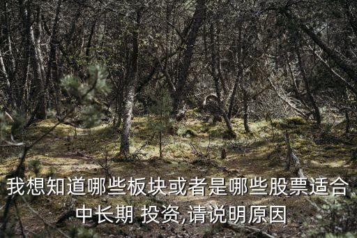 我想知道哪些板塊或者是哪些股票適合 中長(zhǎng)期 投資,請(qǐng)說明原因