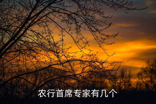 農行首席專家有幾個