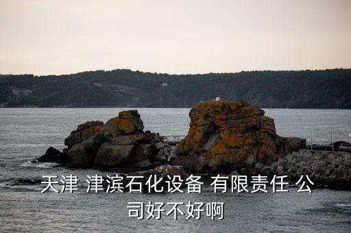  天津 津濱石化設(shè)備 有限責任 公司好不好啊