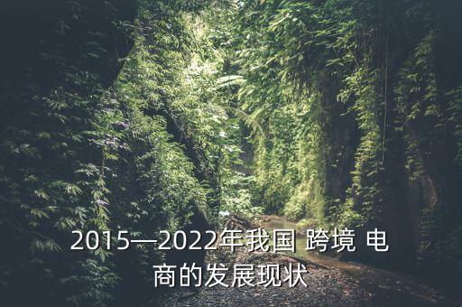 中國海關(guān)跨境電商,海關(guān)跨境電商個(gè)人查詢平臺
