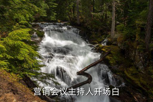 營(yíng)銷(xiāo)會(huì)議主持人開(kāi)場(chǎng)白