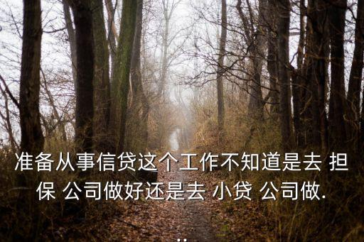 準(zhǔn)備從事信貸這個(gè)工作不知道是去 擔(dān)保 公司做好還是去 小貸 公司做...