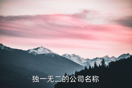 獨(dú)一無(wú)二的公司名稱